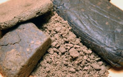 Hasch – Wissenswertes über ein Jahrtausende altes Cannabisprodukt