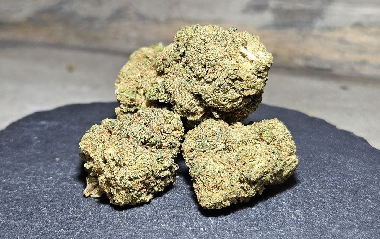 Amnesia Haze Knospen