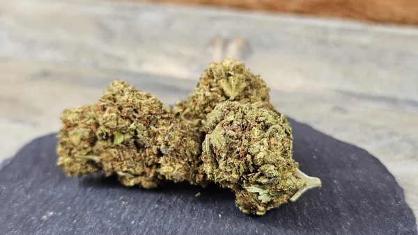 Banana Smash CBD-Blüten Superior