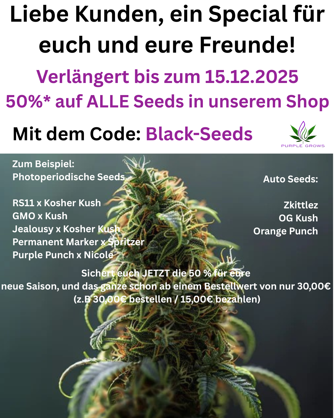 Rabatt-Special Seeds Rabatt-Special Seeds