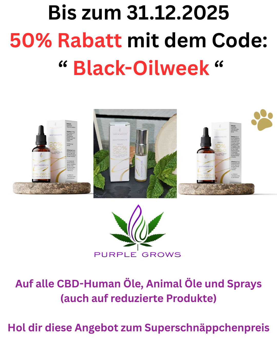 Oilweeks 2025 Oilweeks 2025