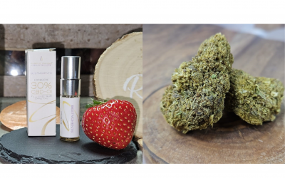 CBD Öl vs. CBD Blüten