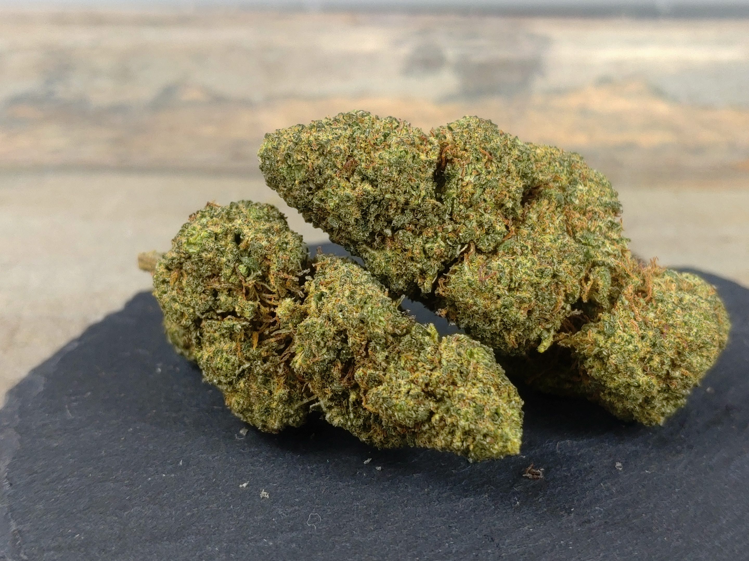 Grape Madness 25 % THZ Blüte