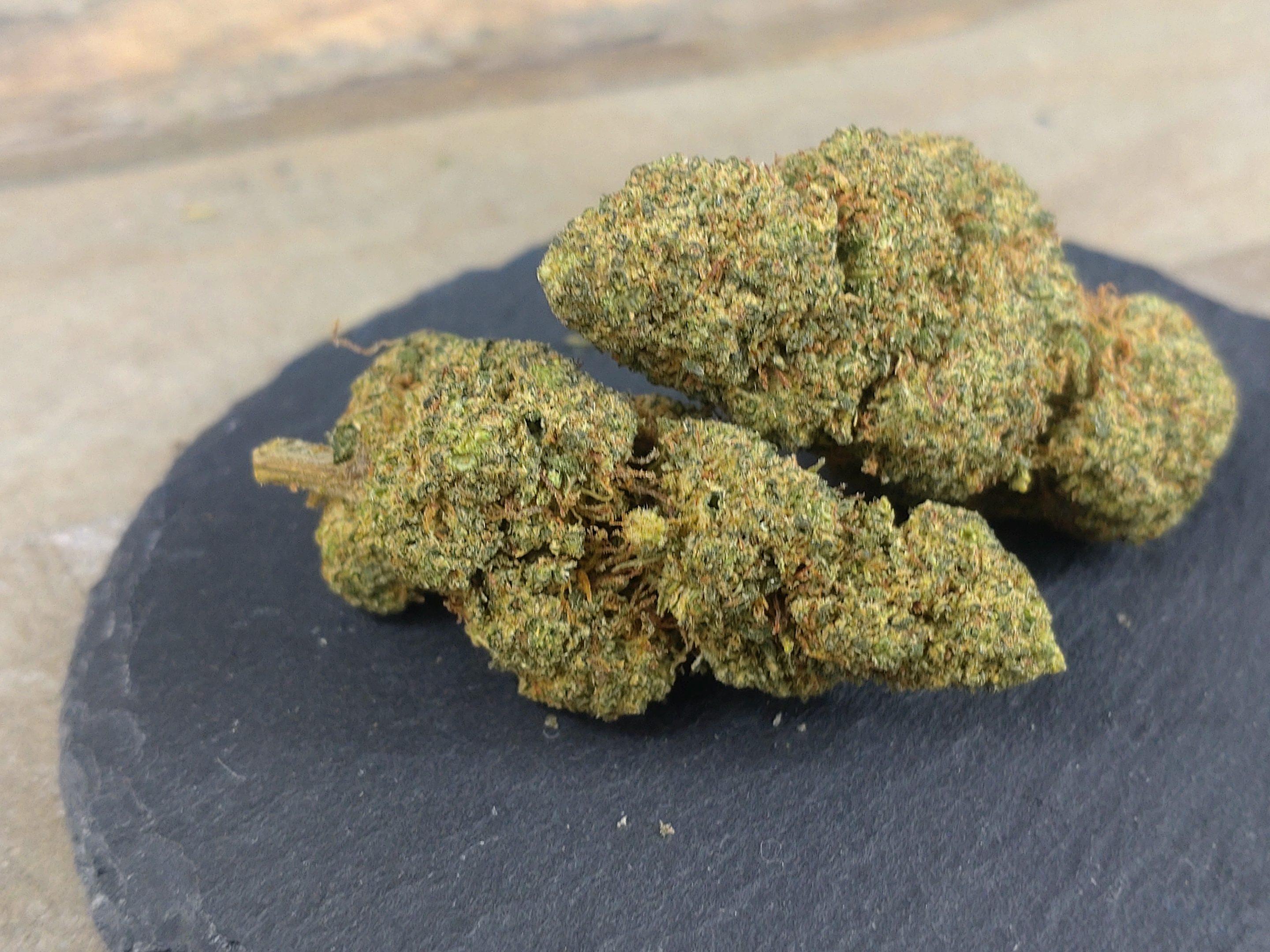 Grape Madness Superior THZ Blüte