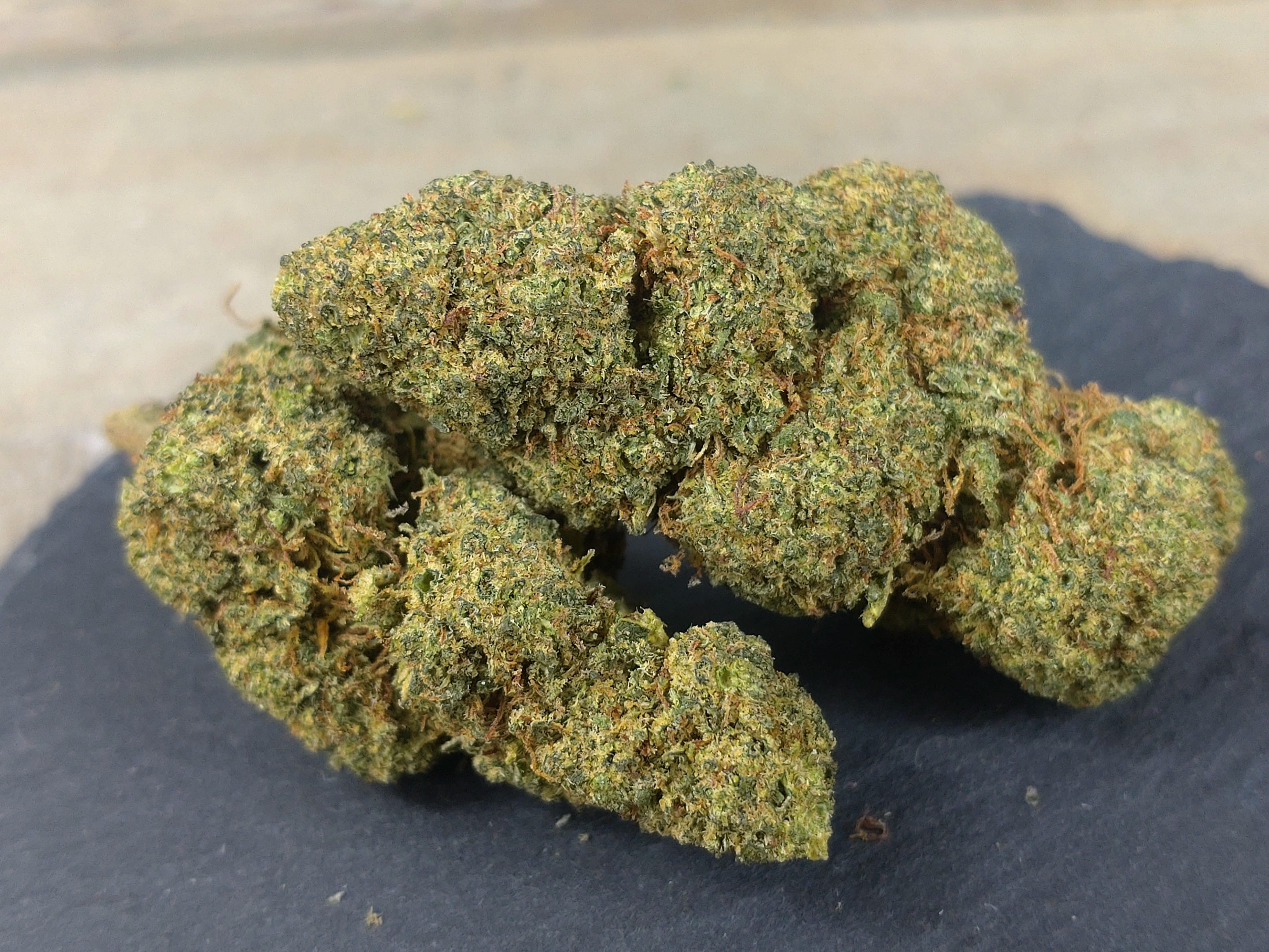 Grape Madness THZ Blüte