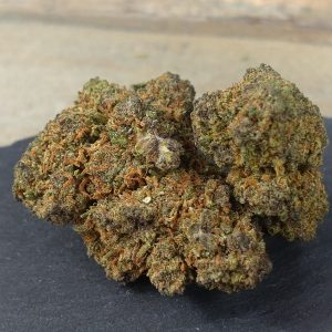 Mimosa THZ Superior Blüte