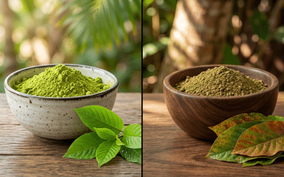 Grünes vs. Rotes Kratom: Der botanische Vergleich zu Herkunft, Inhaltsstoffen und Eigenschaften