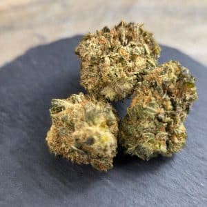 Northern Lights THCX