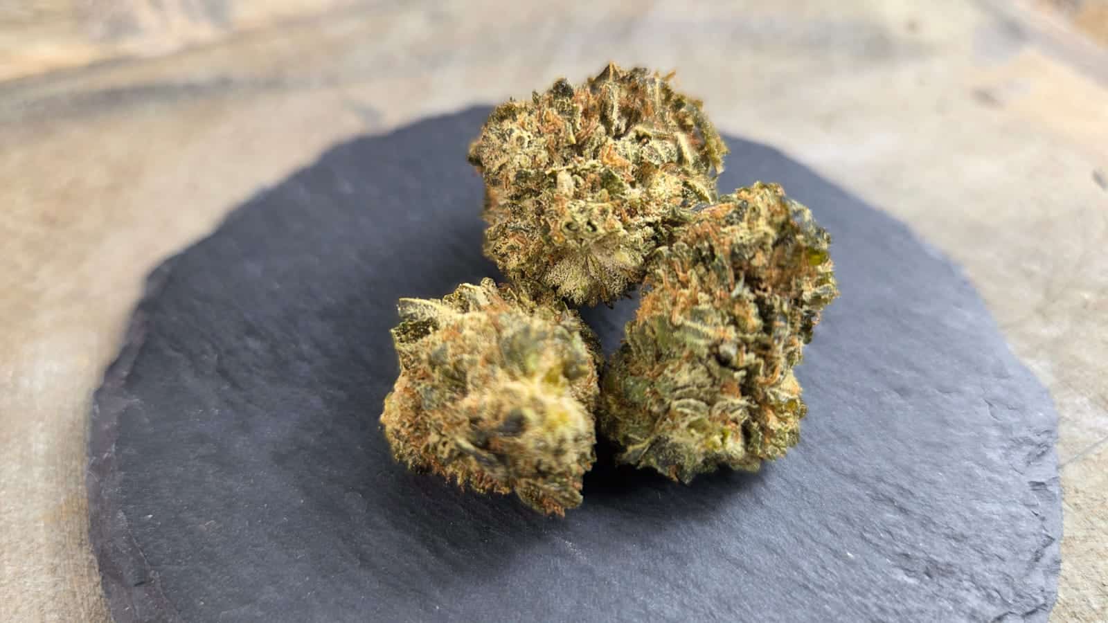 Northern Lights THCX