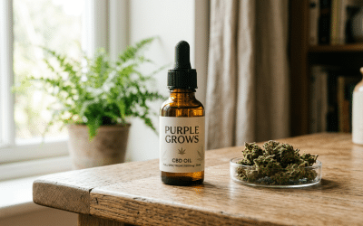 CBD & Wellness – Supplements