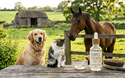 CBD für Tiere
